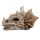Figurine Shadows of Darkness - Crâne de Dragon Skull (Petit)