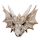 Figurine Shadows of Darkness - Crâne de Dragon Skull (Grand)