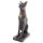 Bastet Chatte, Noire