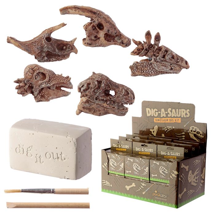 Kit de Fouille RAWR - Fossil Crâne de Dinosaure
