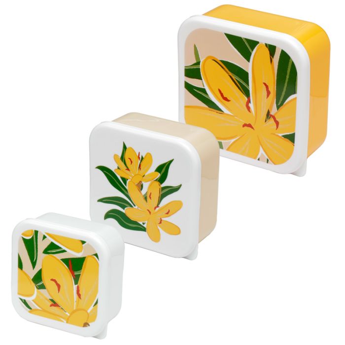 Lot de 3 Boîtes Repas M/L/XL Florens Hesperantha - Fleurs Lis des Cafres