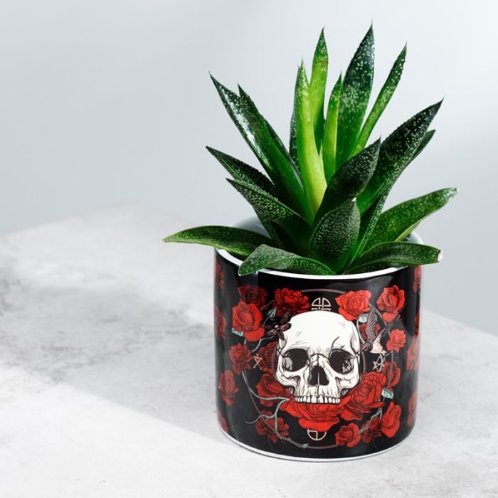Pot en Céramique pour Plante d'Intérieur Skulls & Roses (Petit)
