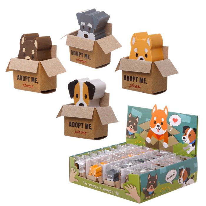 Gomme dans Petite Boite - Chiot Petit Chien