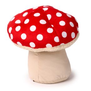 Câle-porte - Champignon Câle-porte - Champignon