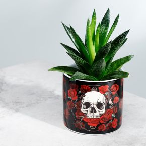 Pot en Céramique pour Plante d'Intérieur Skulls & Roses (Petit) Pot en Céramique pour Plante d'Intérieur Skulls & Roses (Petit)